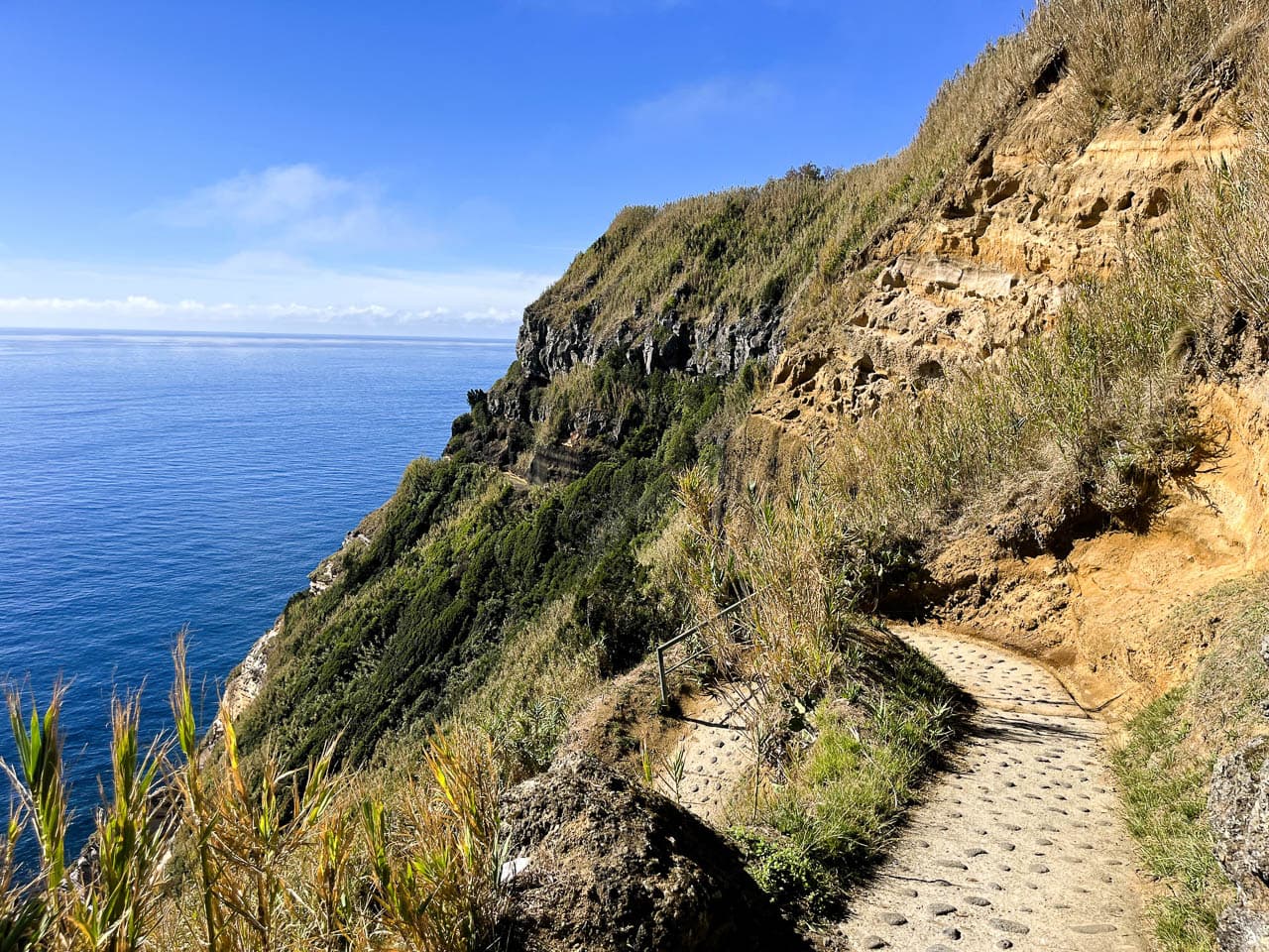 PT5AZA Image00089 Eveline Claes