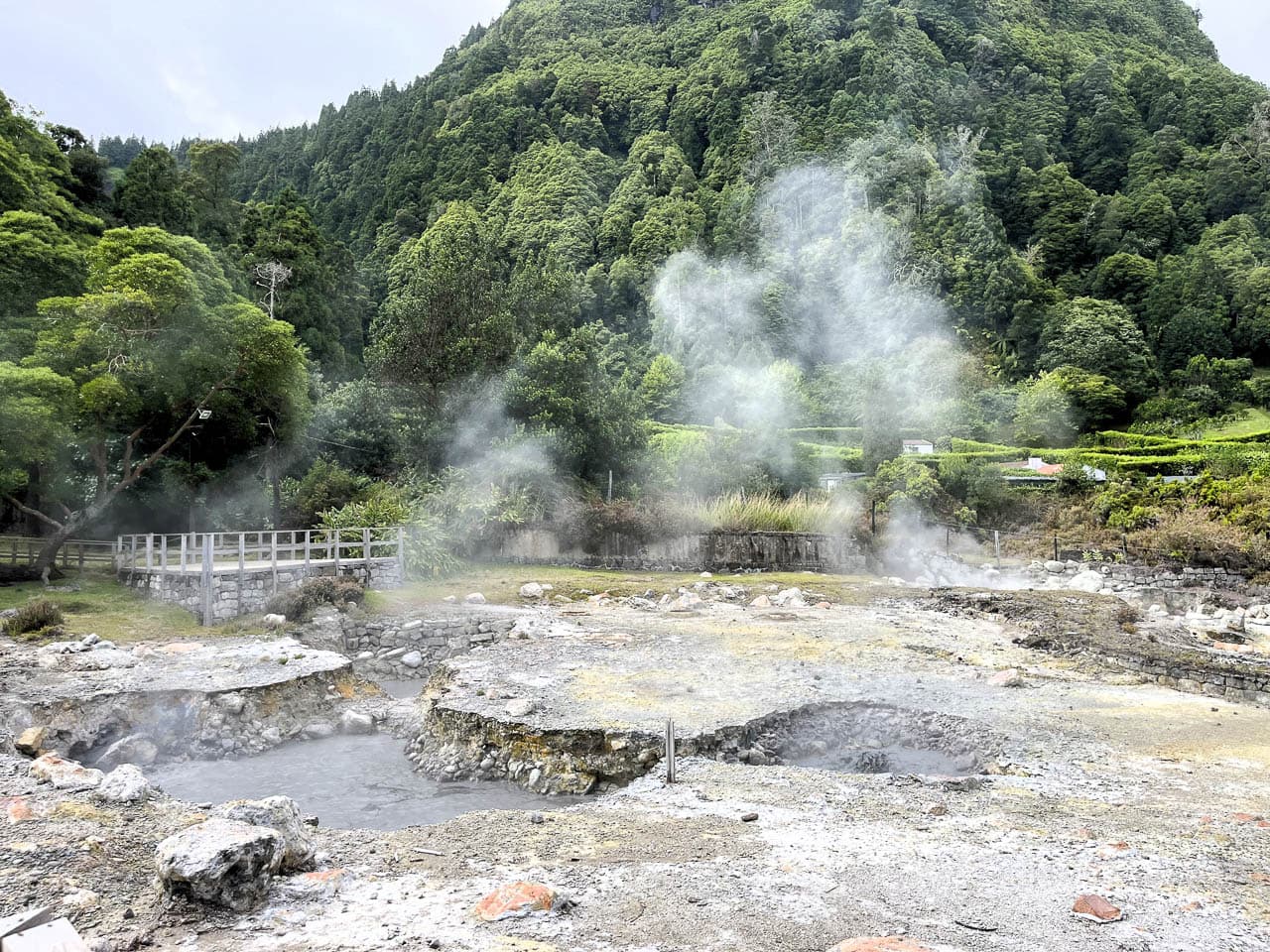 PT5AZA Image00039 Eveline Claes