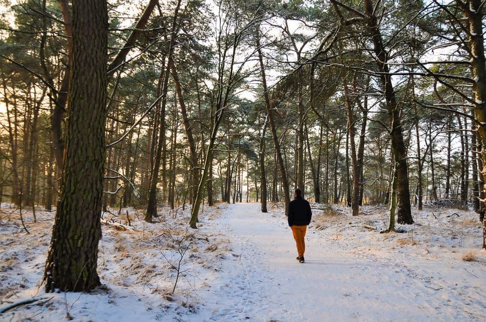 DSC_2919_export_w950