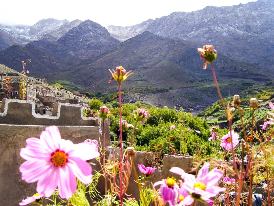 Marokko 1515 Export W950