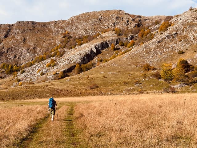 IMG 1770 Selectie Anne Cornut W950