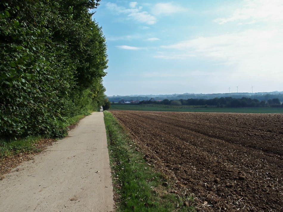 thumbnail_P9020278_export_w950