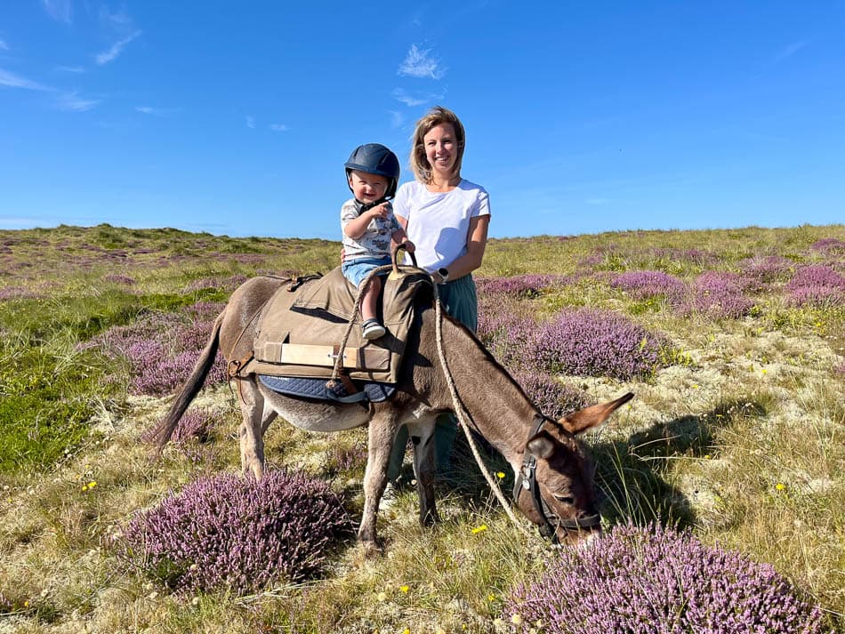 Image00007 NL5TSA Eveline Claes W950