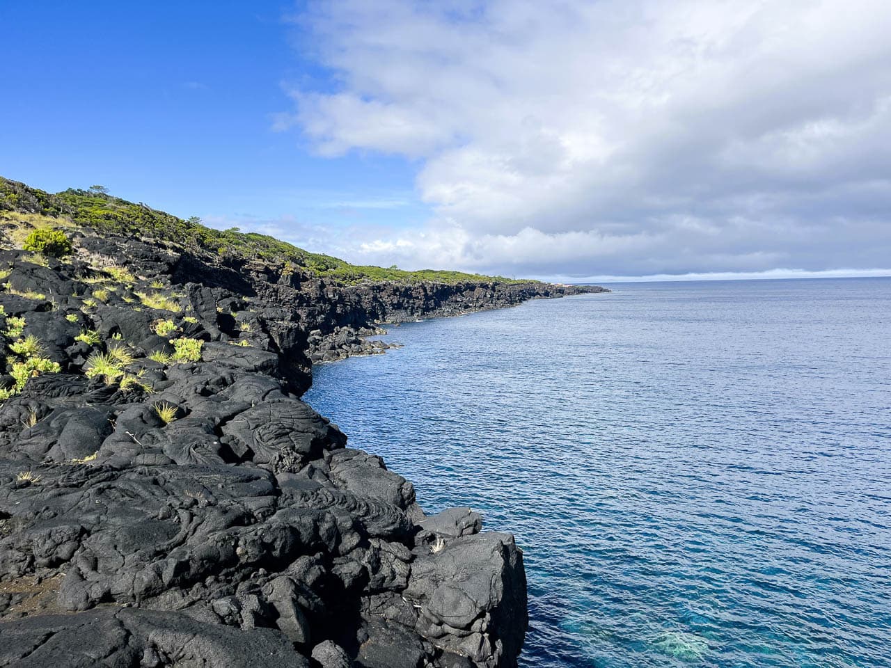 PT5AZA Image00071 Eveline Claes