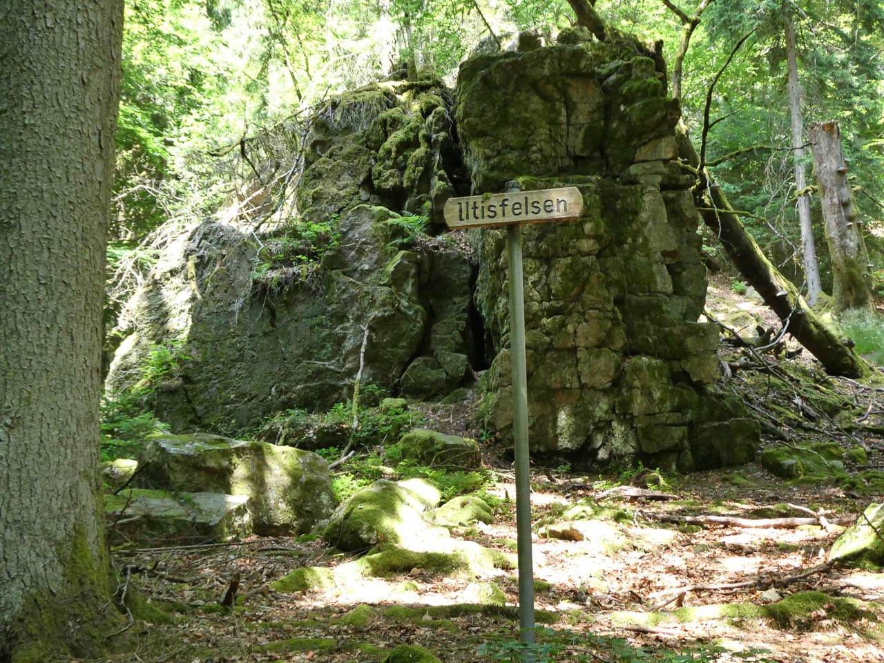 Selectie PANA0133 Dirk De Vos