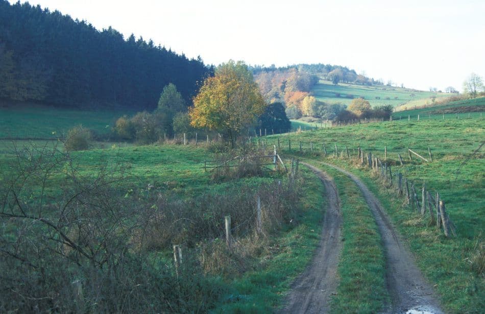 veldweg-2_Bart-De-Winter_export