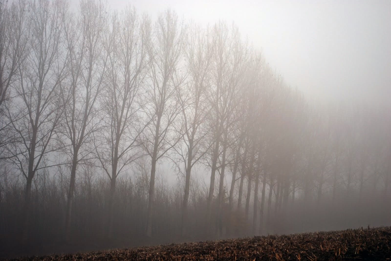 DSC_03_Veronique_De_Smedt