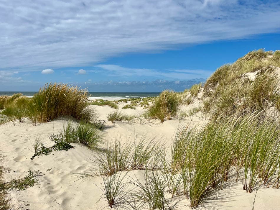 Image00004 NL5TSA Eveline Claes W950