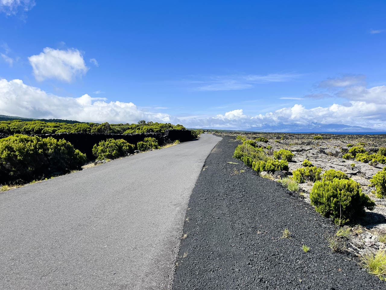 PT5AZA Image00079 Eveline Claes