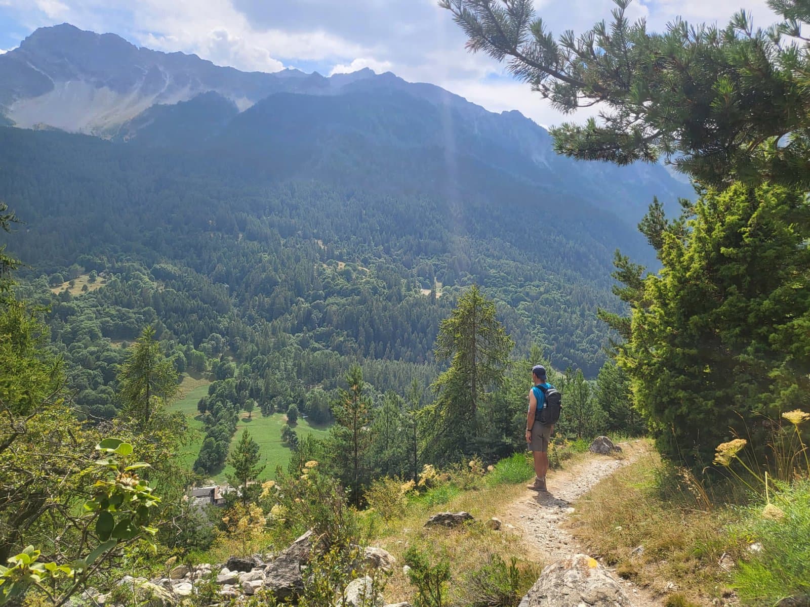 Ccb4ccfd Bce0 4256 A6f6 945B97f437b3