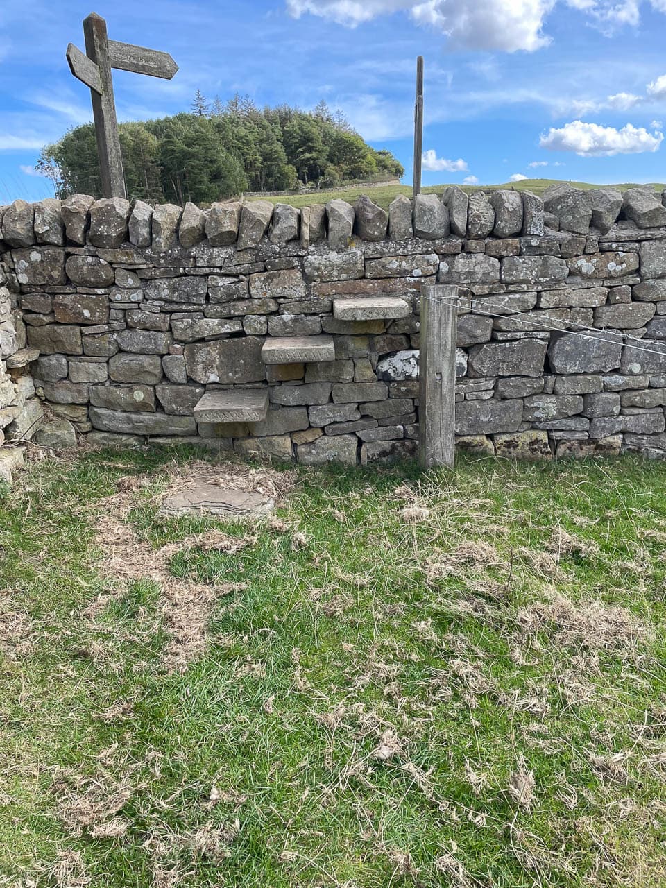 Selectie Image00051 Rosanne Addiers