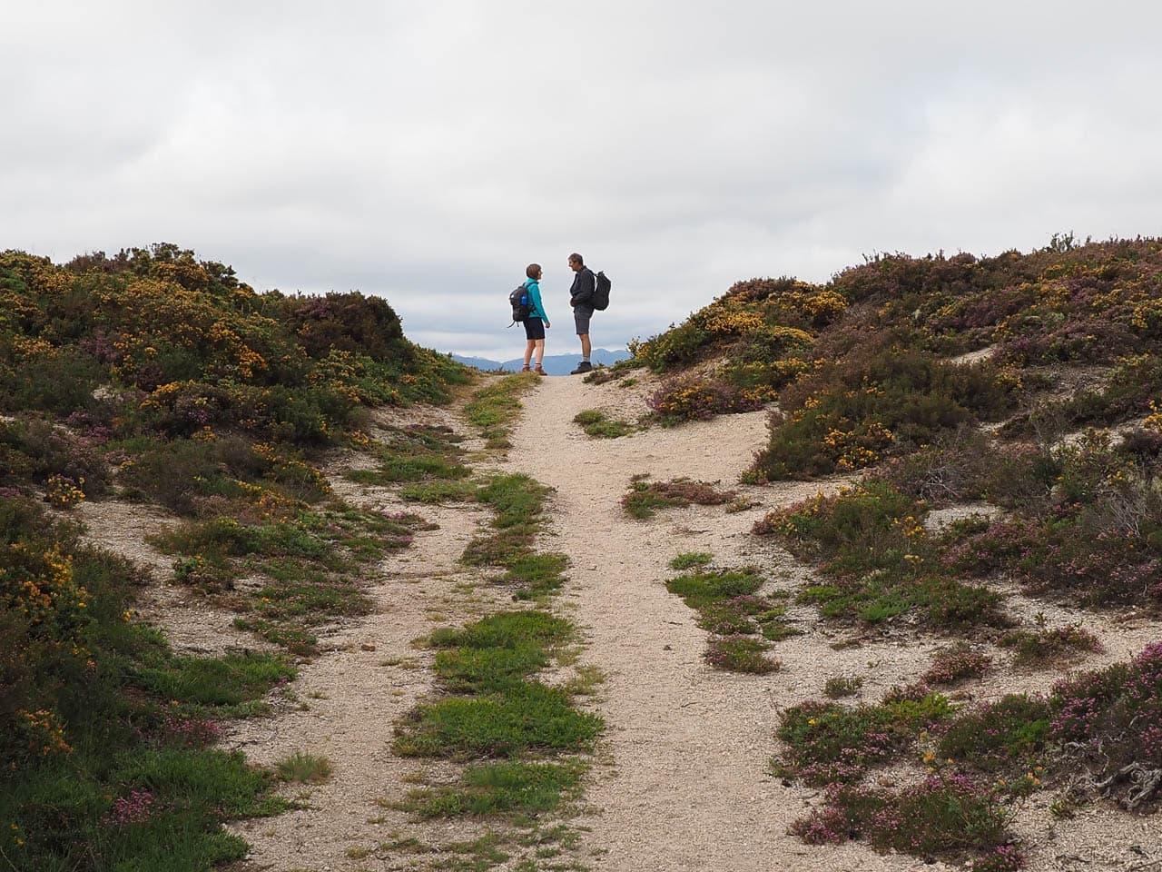 Selectie P6038115 Tom De Borger