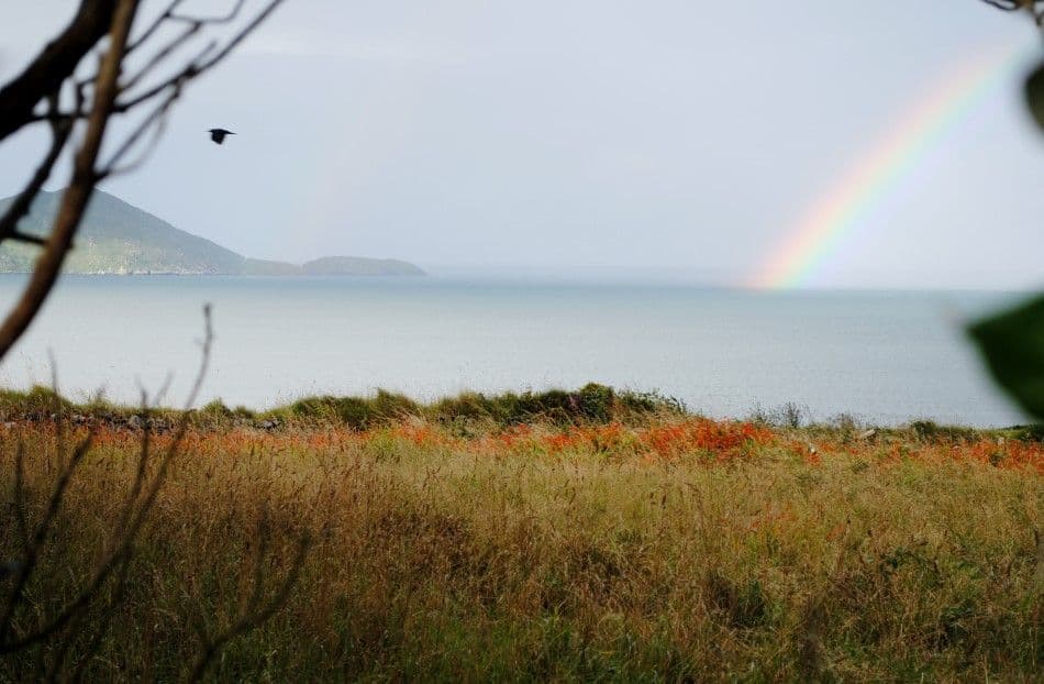 201408-ierland-065-Custom