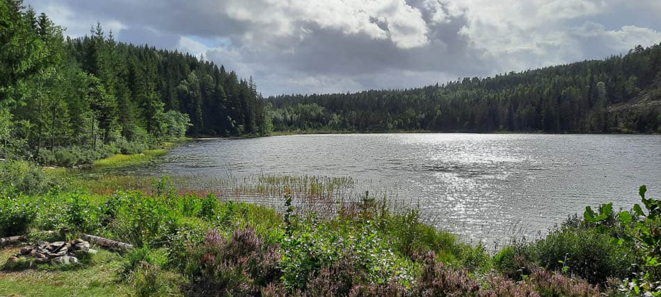 thumbnail_20210814_161416__w950