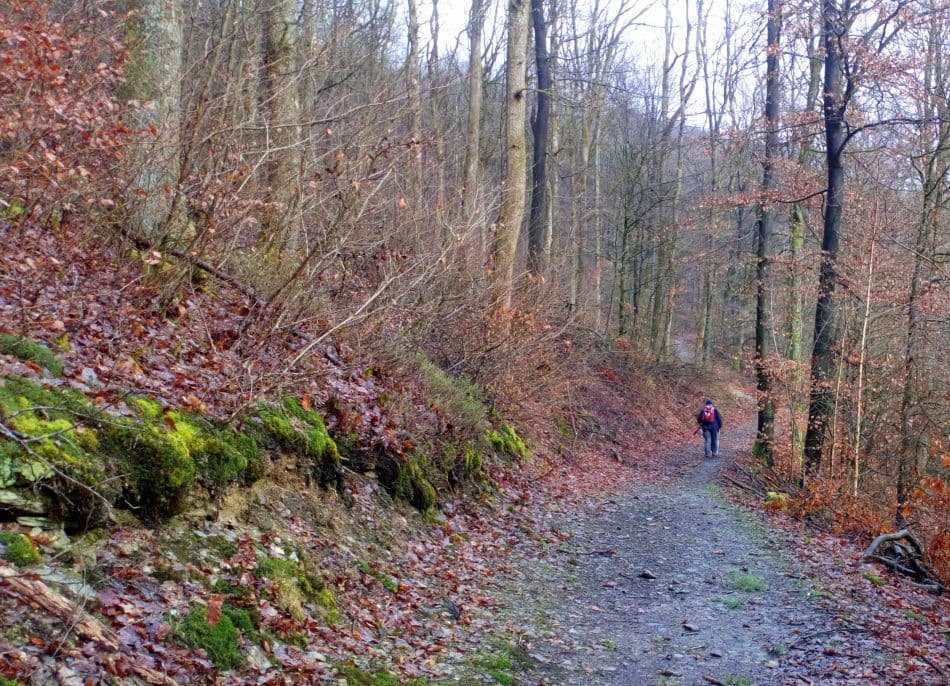 DSC_0298_bewerkt-1_export