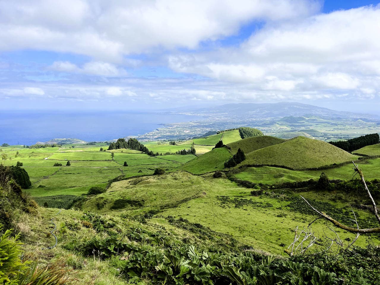 PT5AZA Image00005 Eveline Claes