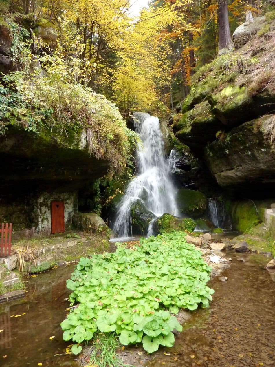 11977450344_15d8fb02a1_o_export