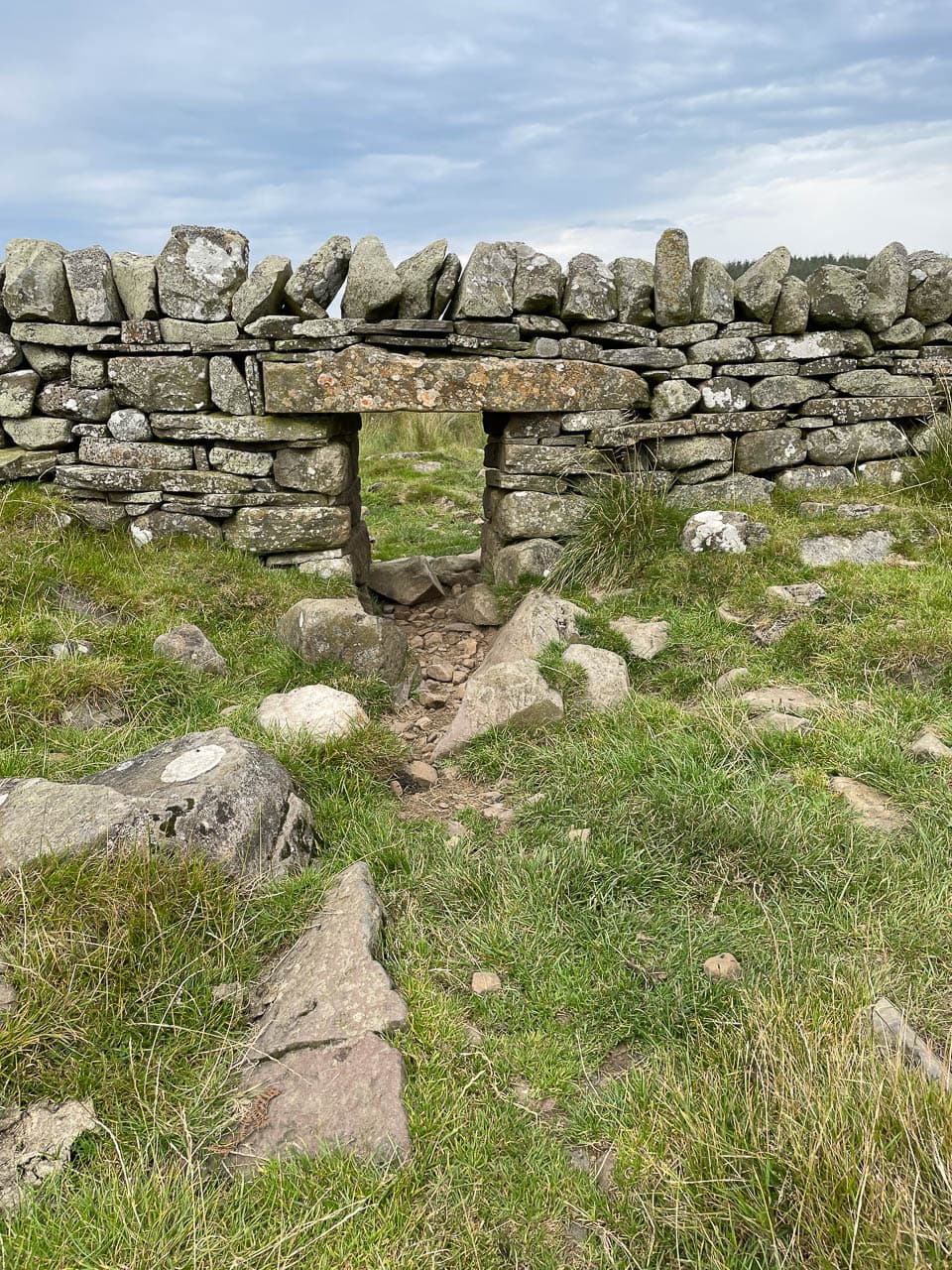 Selectie Image00024 Rosanne Addiers