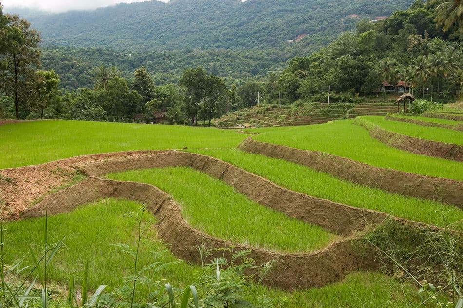 IND14-102 100_1065 - kopie_export_w950