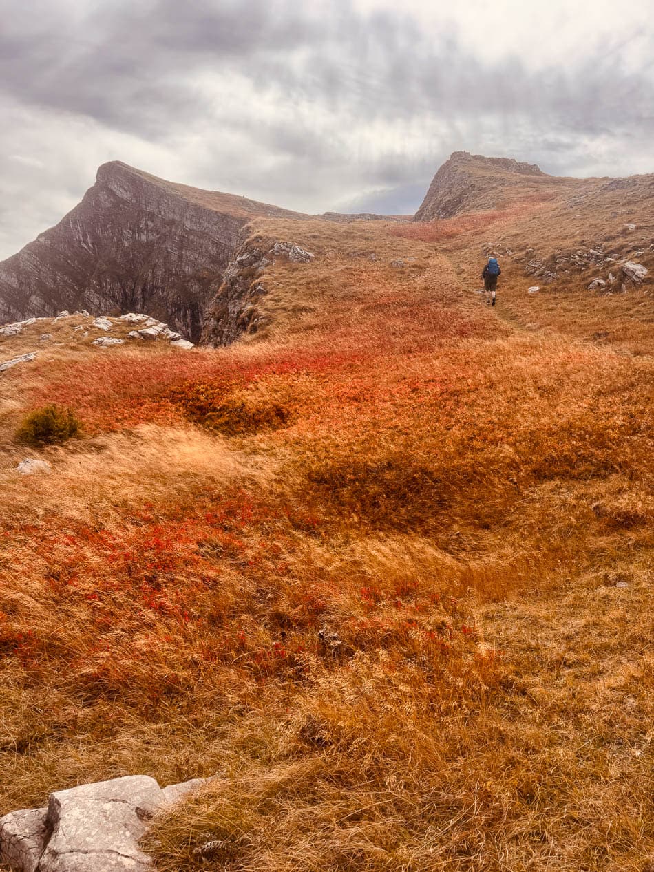 IMG 1929 Selectie Anne Cornut W950