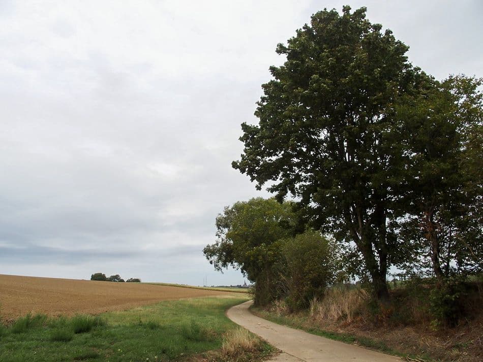 thumbnail_P9030351_export_w950