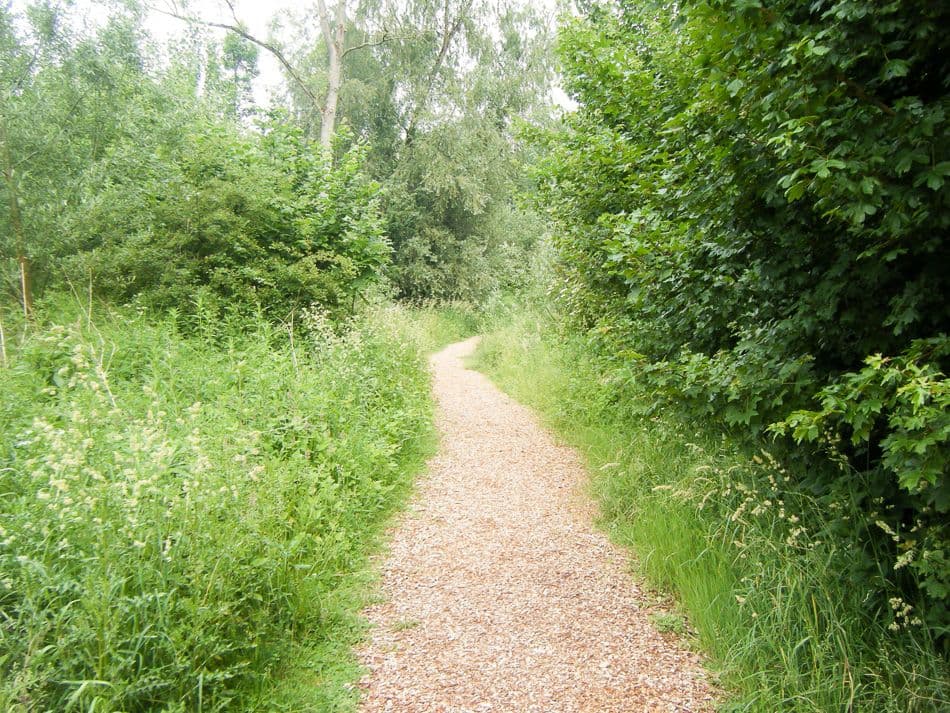 DSCF5599_export_w950