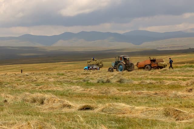 22juli09_export_w950