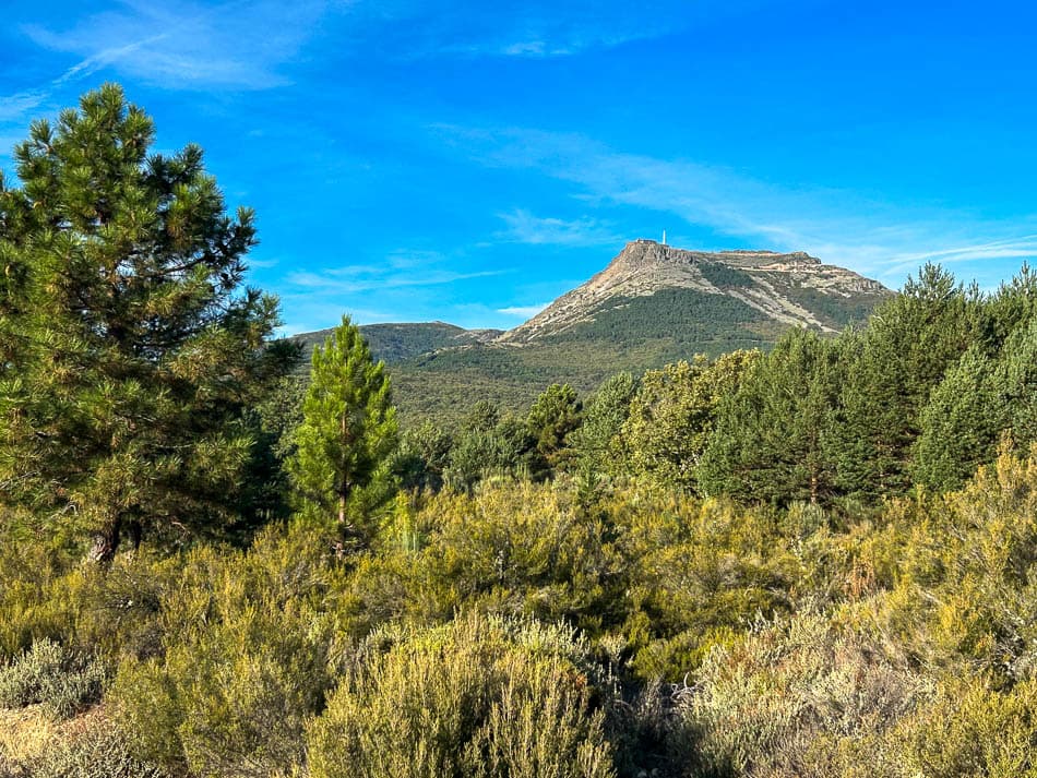 IMG 9791 ES5SSA Agent W950