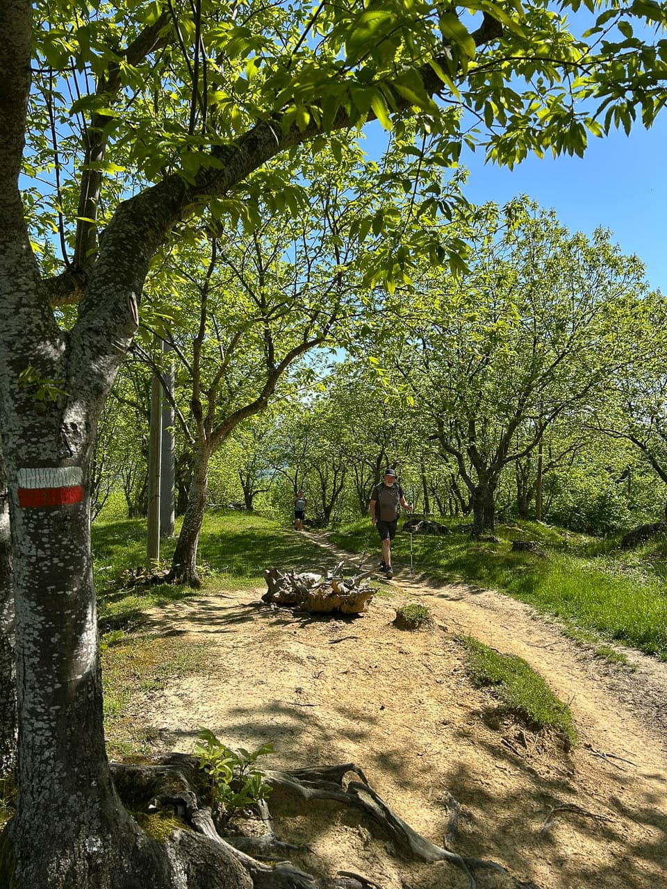 Selectie IMG 6814 Anna Mertens