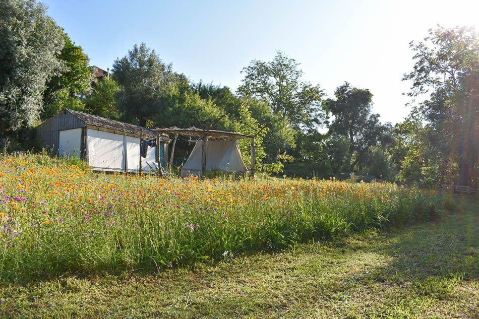 DSC_0215_Joelle Coppin_w950