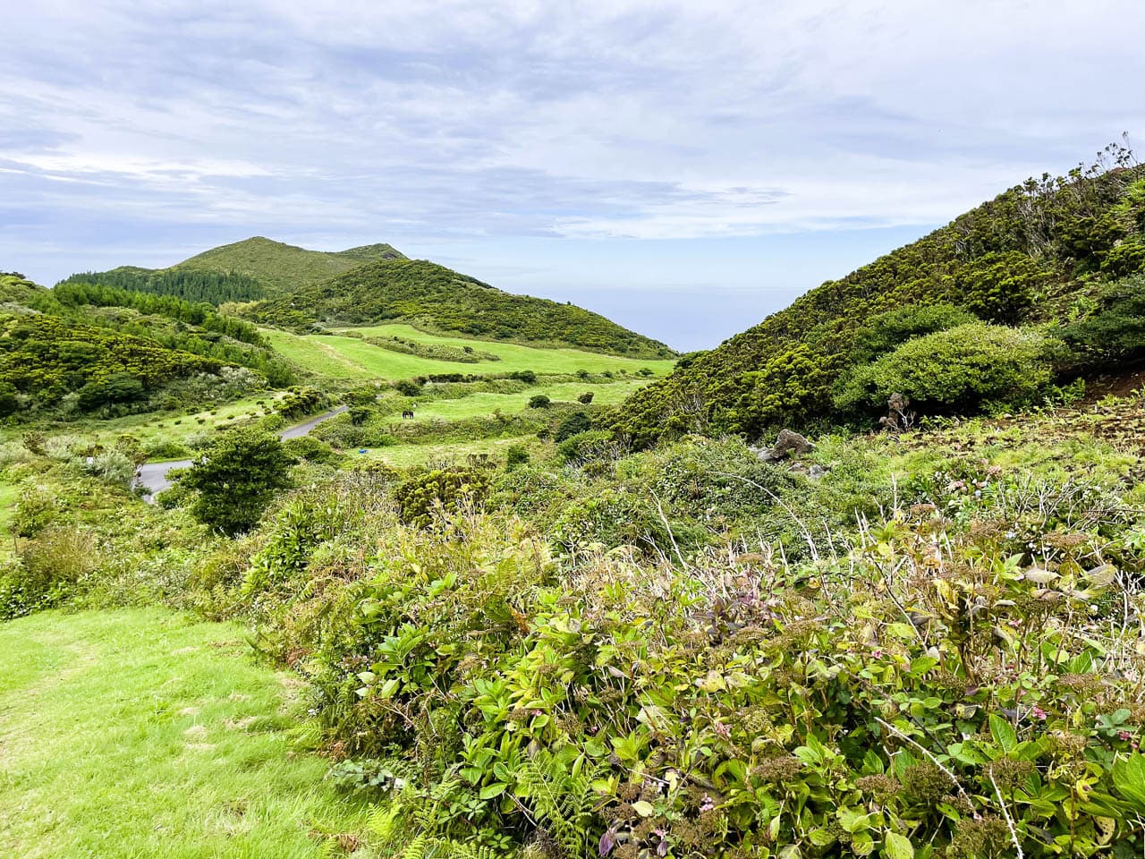 PT5AZA Image00050 Eveline Claes