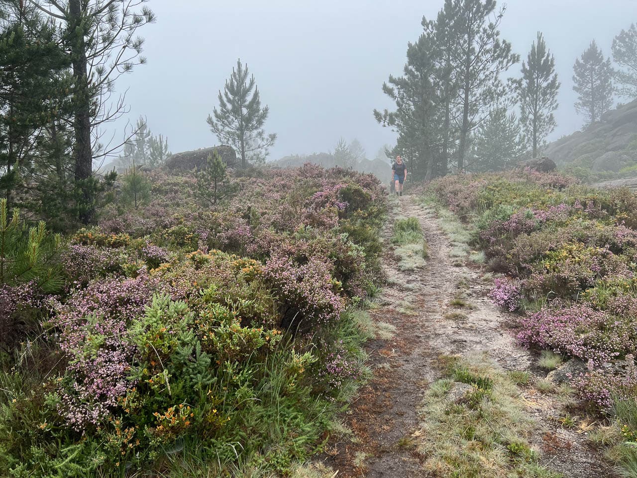 Selectie IMG 8522 Tom De Borger