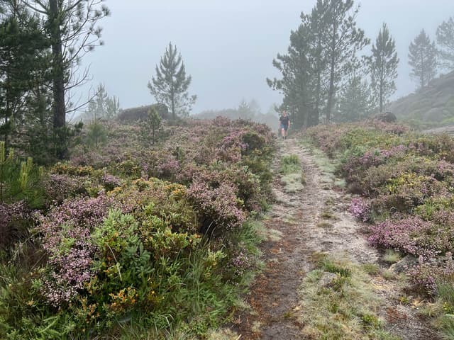 Selectie IMG 8522 Tom De Borger