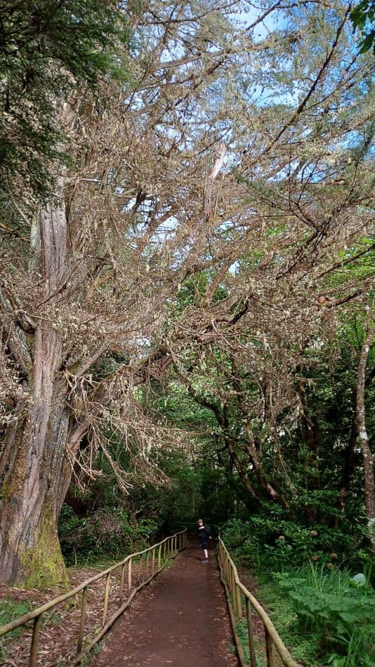 20220623_093301_Yves Debroe_w950