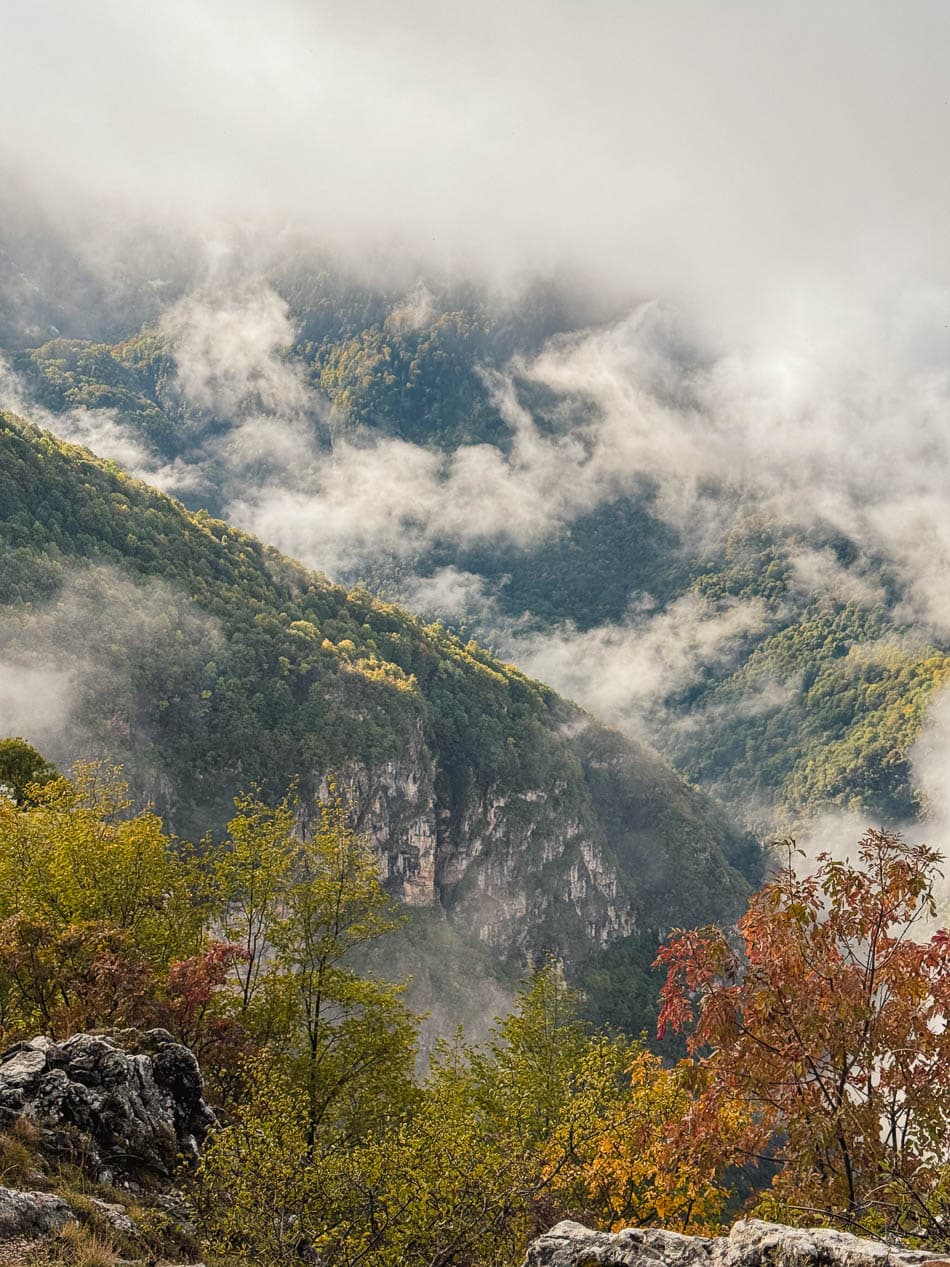 IMG 2122 Selectie Anne Cornut W950