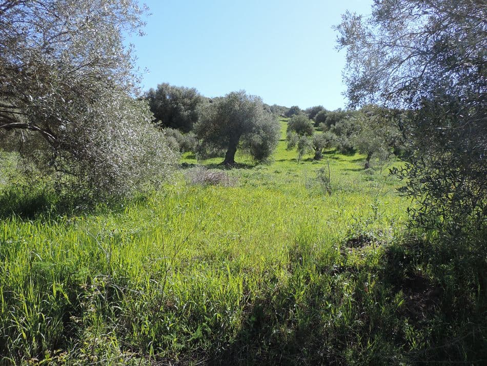 dag 7 - 2 - Giara 6_export_w950