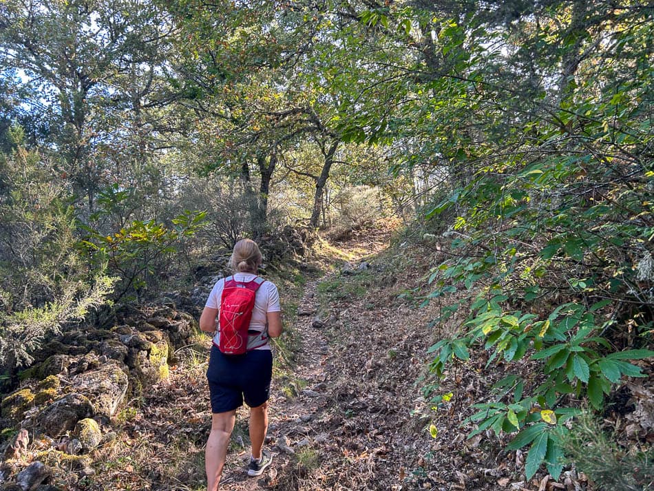 IMG 9824 ES5SSA Agent W950