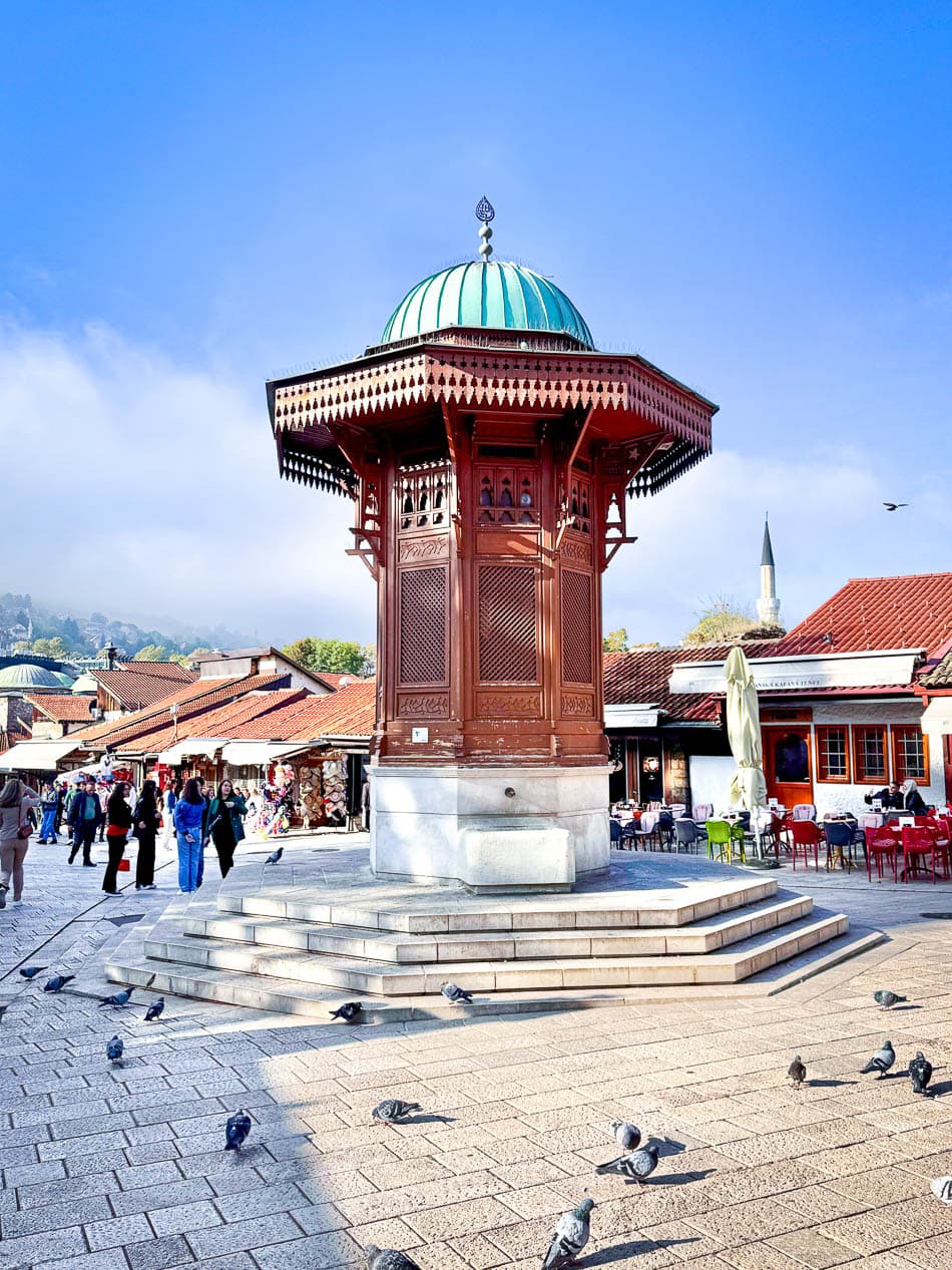 IMG 1137 Selectie Anne Cornut W950