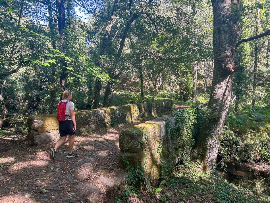 IMG 9902 ES5SSA Agent W950