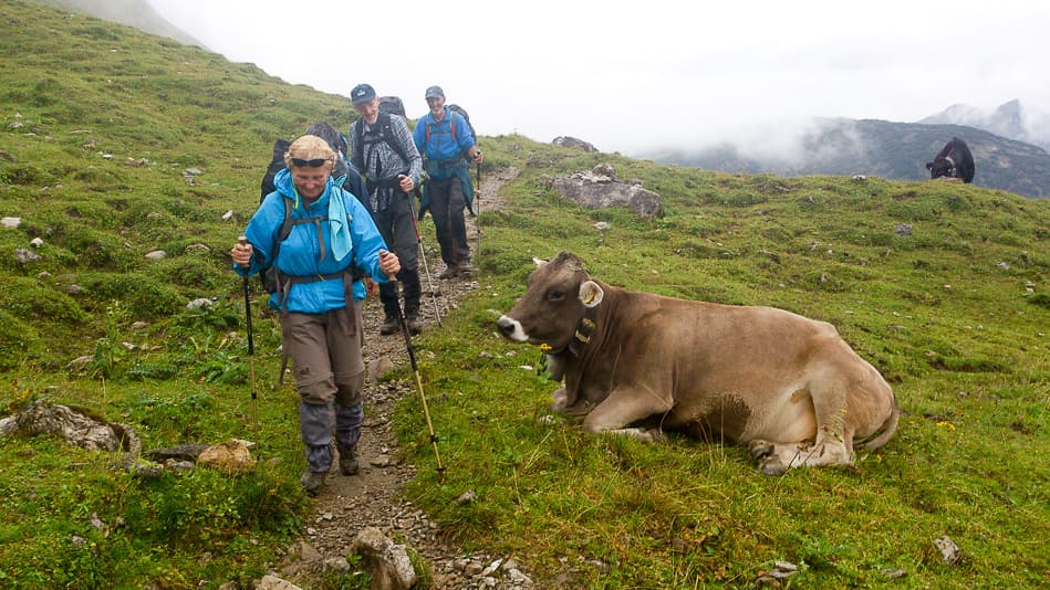 DSC_0777_export_w950