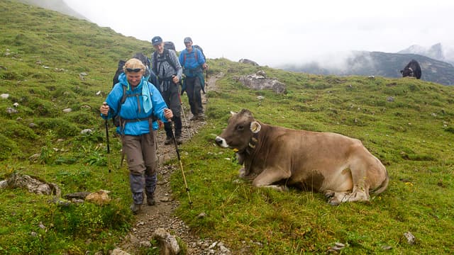 DSC_0777_export_w950