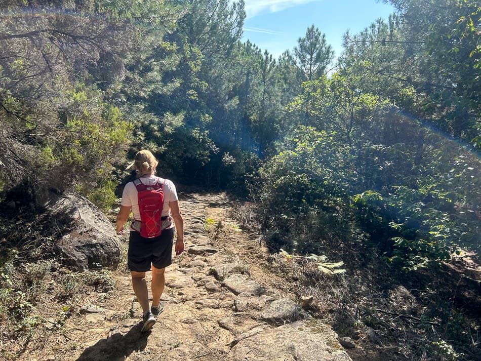 IMG E9871 ES5SSA Agent W950