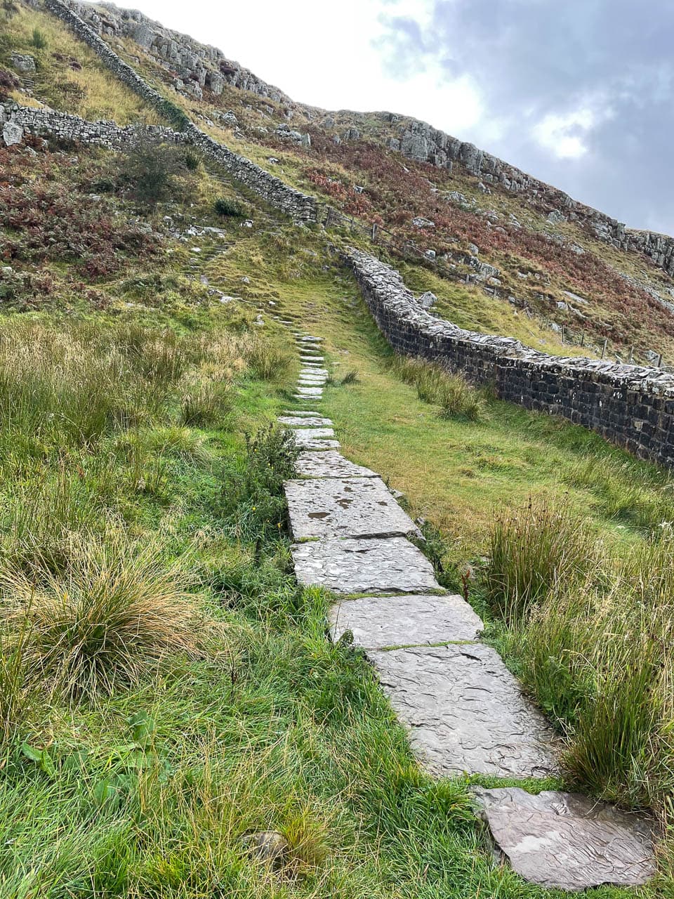 Selectie Image00027 Rosanne Addiers