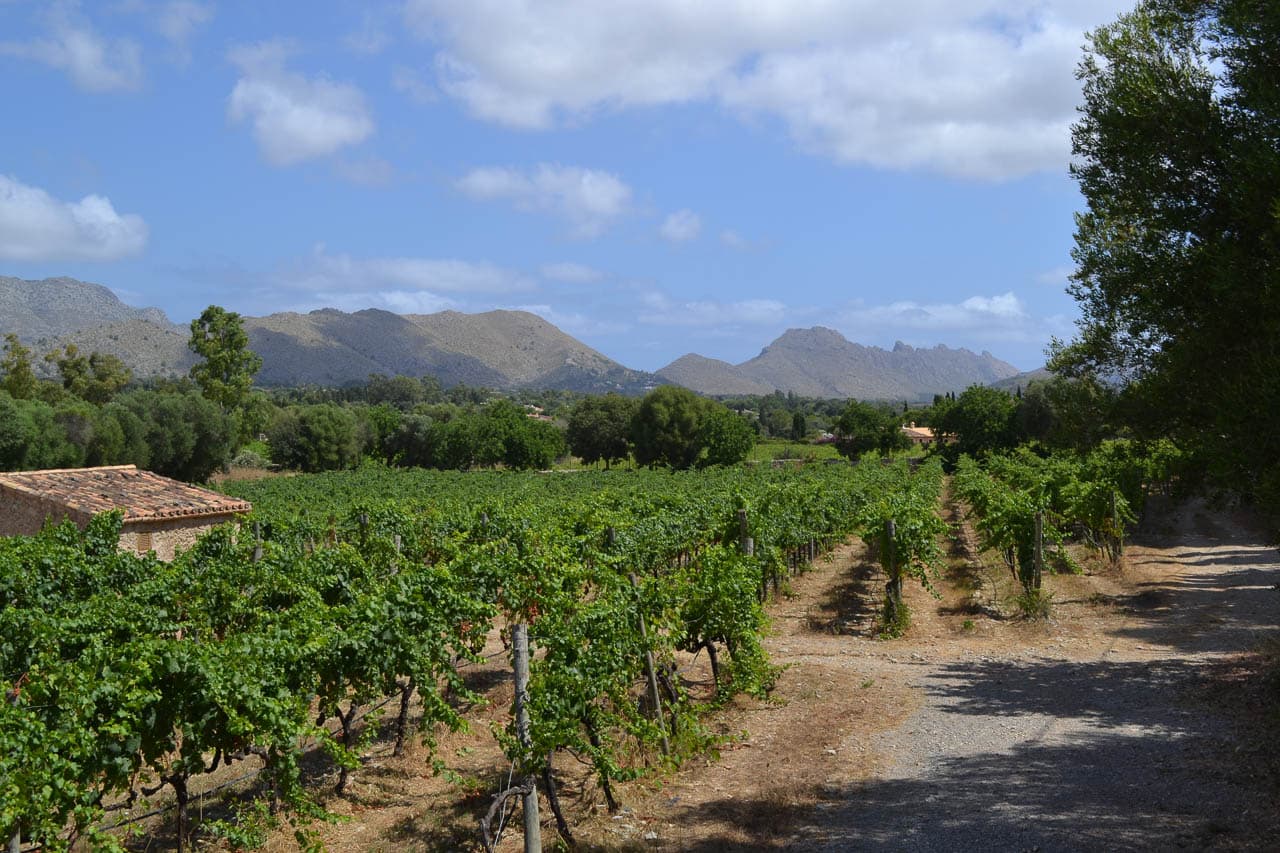 Via Agent DSC 1555 © Anders Reizen