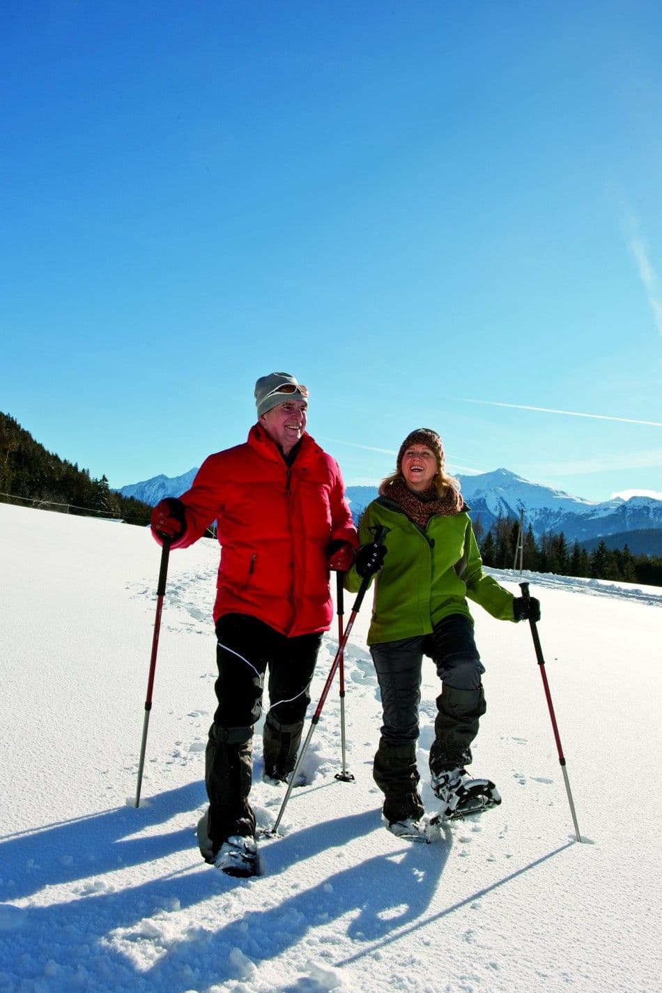 Schneeschuh_01-Custom