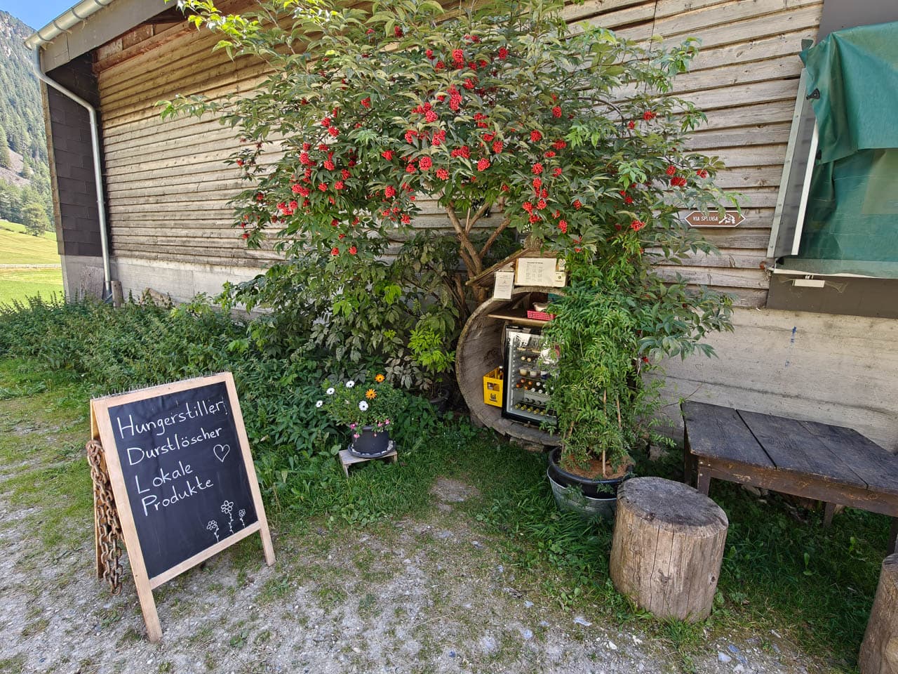 Selectie Melissa IMG20250818132827