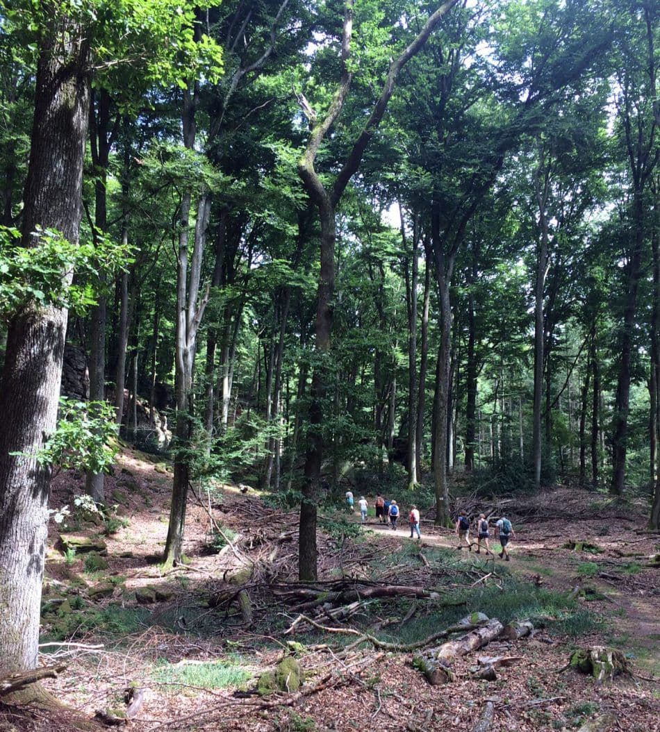 IMG-20190812-WA0007_export