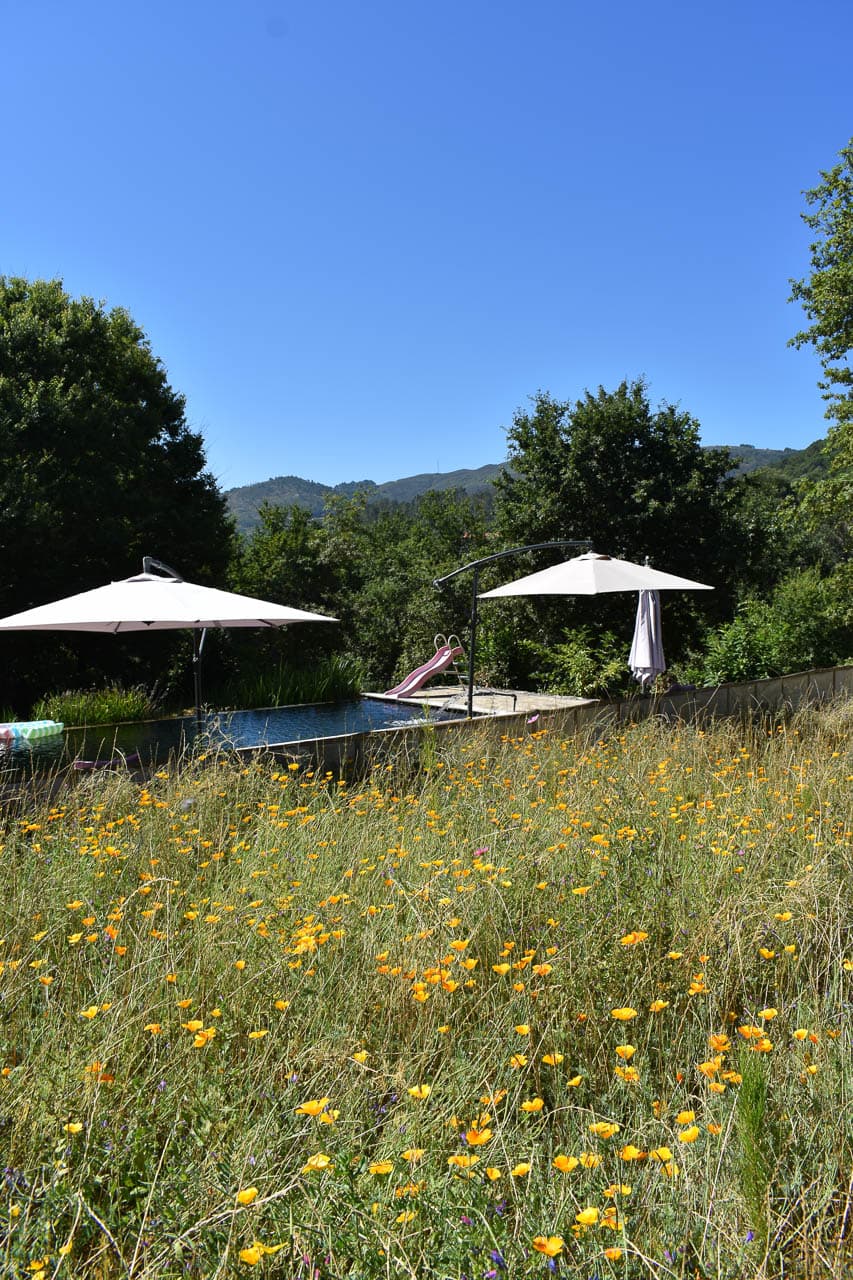 Pt5mha DSC 0589 Joëlle Coppin