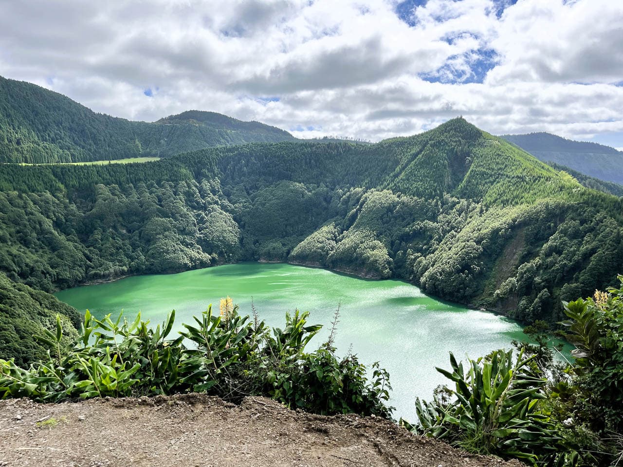 PT5AZA Image00007 Eveline Claes