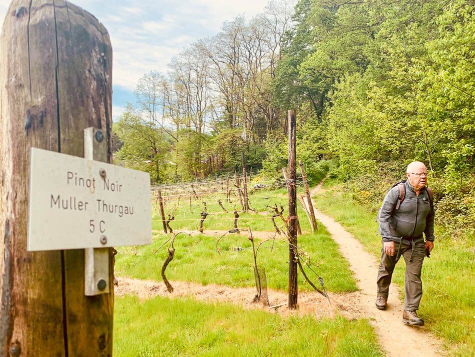 14_Tom Langmans_w950